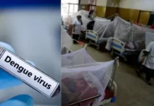 சென்னையில் டெங்கு பாதிப்பு இருமடங்கு உயர்வு