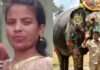 தசரா அபிமன்யு யானை பாகன் மனைவி மறைவு