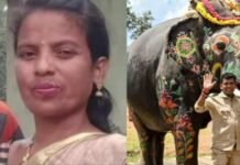 தசரா அபிமன்யு யானை பாகன் மனைவி மறைவு