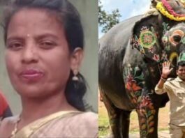 தசரா அபிமன்யு யானை பாகன் மனைவி மறைவு