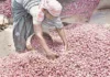 சாம்பார் வெங்காயம் கிலோ ரூ.180-க்கு விற்பனை