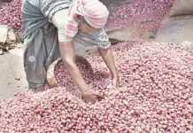 சாம்பார் வெங்காயம் கிலோ ரூ.180-க்கு விற்பனை