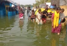 தொட்ட குப்பி குடிசை பகுதி மக்கள் கண்ணீர் – அரசுக்கு விடுதலை சிறுத்தைகள் கோரிக்கை