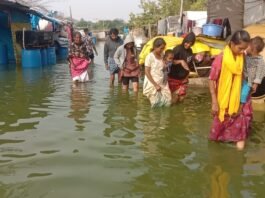 தொட்ட குப்பி குடிசை பகுதி மக்கள் கண்ணீர் – அரசுக்கு விடுதலை சிறுத்தைகள் கோரிக்கை